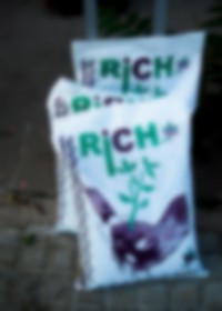 Image from work titled We Passed By And You Were Not There