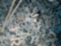 Image from unspecified work