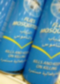 Image from work titled We Passed By And You Were Not There