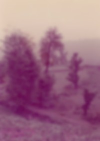 Image from work titled Spectral Days