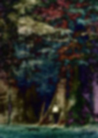 Image from work titled Spectral Days